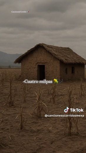 Cuatro Milpas – Antonio Aguilar | Letra y significado