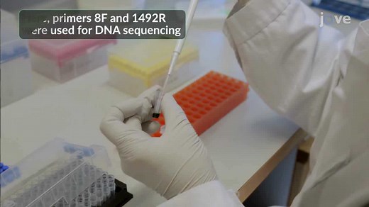 细菌16SrRNA基因扩增、测序和序列分析教程_高清1080P在线观看平台_腾讯视频