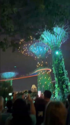 Light Show at Supertree Grove in Singapore #singapore #ledlights