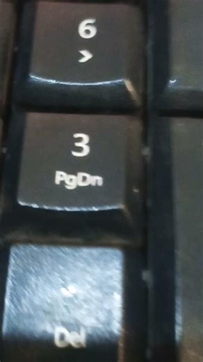 🎯 Wrap-Up – Your Complete Amazon Essentials Guide! 🎯