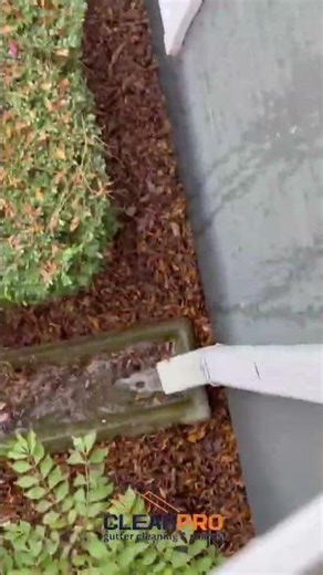 Why Proper Downspout Water Flow Matters | Professional Gutter Cleaning