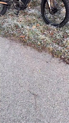 Riding'times on Instagram: "GT73 Pro review with Theo. #ebikelife #review #gt73pro"