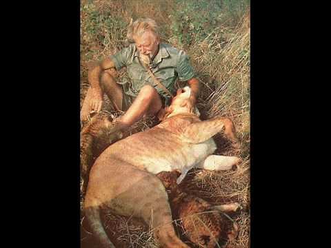 George Adamson born free