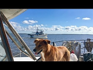 Intracoastal Waterway Georgia - South Carolina!