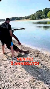 127K views · 3.9K reactions | Questo video indica le procedure...