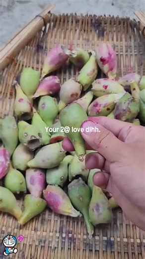 Discover Amazing Fruits You Must Try