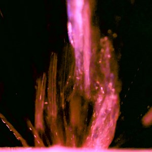 Oh so dramatic! 🎆Can you tell what this #collonilcloseup is? 🔎Hint: It’s one of our products. | Collonil