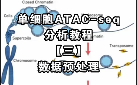 单细胞ATAC-seq分析教程【三】数据预处理