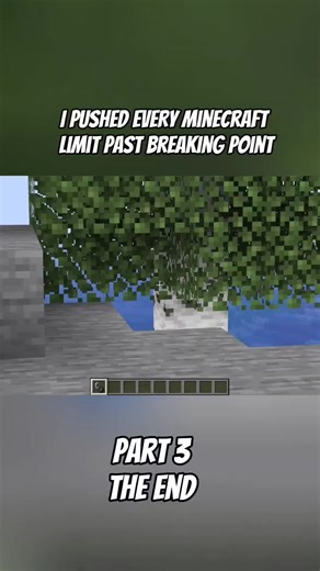 ‏"I Pushed EVERY Minecraft Limit Past Breaking Point" #pov #limt #minec... | minecraft