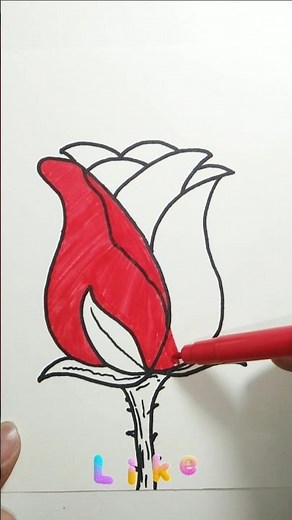 Easy Rose Coloring 🌹 | Simple Flower Coloring | Coloring for Beginners #shorts #trending