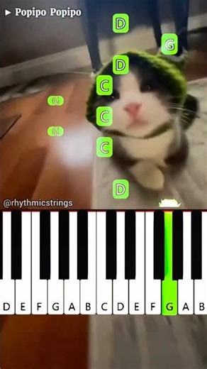Popipo Popipo | Easy Piano Tutorial | Funny Cat Memes #shorts