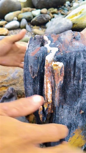 The discovery of treasure in beautiful quartz rocks.💤💯💰 #goldrush #treasuresearch