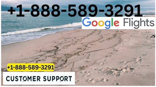 Call →Official Google Flights* Help Center™ | Full Guide to Customer Service™ & Support Options