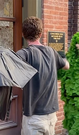 713K views · 6.5K reactions | Don’t beat around the bush  | Sean James | Facebook