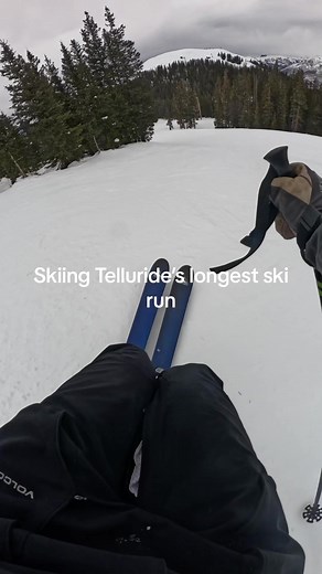 Skiing Tellurode Longest Run. The Galloping Goose is a 4.6 mile green great for beginners looking to cruise on a chill flat green. This trail has great views of our beloved Mount Wilson #telluride #colorado #ski