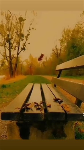 Roj_ava_6509 TikTok'ta