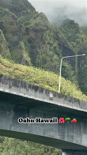 616 reactions · 83 shares | H3,Freeway,Kaneohe  #islandlife #ALOHA #hawaii #oahu #tranding #fblifestyle #highlightseveryonefollowers | Letboyong MonCab | Facebook
