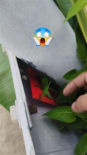 451K views · 9.5K reactions | HaLa ❗❗❗ kasayang  | Butuan Locksmith Oliver Key | Facebook