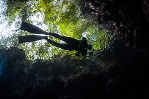 A snorkeler explores a coral reef growing amid the incredible scenery...
