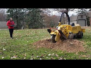 Rayco Rg80 stump grinding