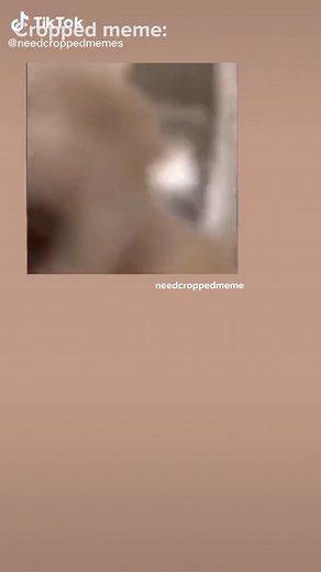 Cropped Memes on TikTok