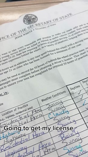 #drivinglegal #devinnalab #fyp #viral #illinois | Driving