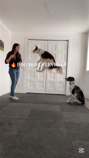 Dog Skills on Another Level 😱🐕 | Believer Song Edit