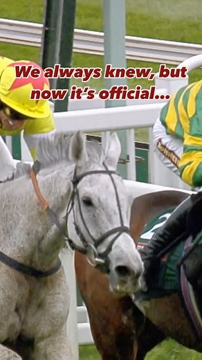 Neptune Collonges inducted to the Aintree Hall Of Fame 🤩 The 2012 Grand National winner, known as Nipper, has been officially announced as the latest Aintree Legend 🙌 #horseracing #horsesofinstagram | Aintree Racecourse