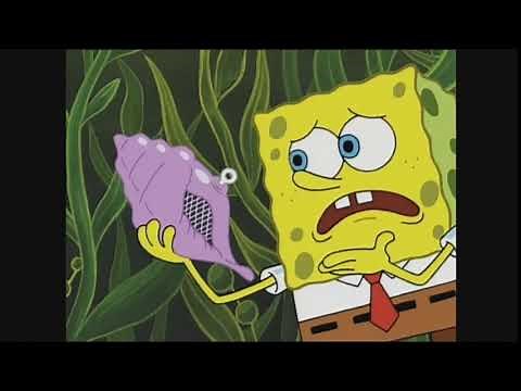 oh magic conch shell