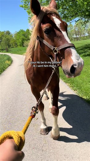 #fyp #foryoupage #tbuckstrong #jesussaves #cowpuncher #missmymoney #trucktok