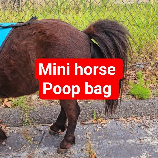 mini horse poop catching bags with therapy vest