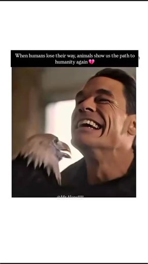 Mr. Alone | Cinematic Stories on Instagram: "When humans lose their way, animals show us the path to humanity again 💔 Movie :- Peacemaker. "Peacemaker" is an "American" television series created by James Gunn for the streaming service HBO Max, based on DC Comics featuring the character Peacemaker. The first season is a spin-off of the film The Suicide Squad (2021) set in the DC Extended Universe (DCEU), further exploring jingoistic vigilante Chris Smith / Peacemaker. The second season is the fi