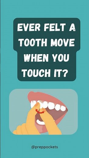 Understand Tooth Mobility in 10 Secs #dentaltips #dentaleducation #loosetooth #dentalstudent #shorts