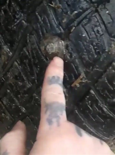 Tire Repair Tips for Kentucky Highways