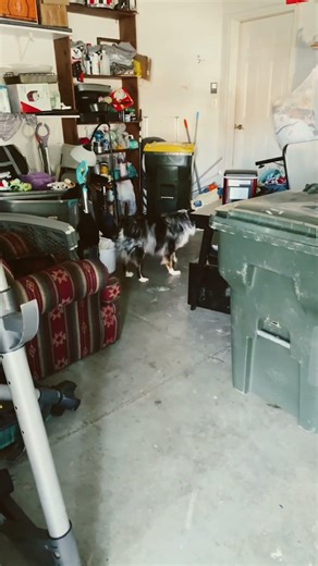 Hey Poopy Head??? LIT