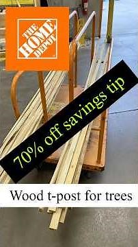 Wood 70% off SAVINGS tip!!Alternative to expensive T-posts. How to find cull wood.