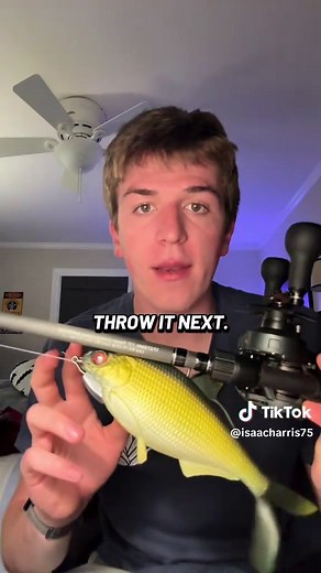 Mastering the 8” Swimbait for Catching Fish
