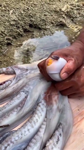 Amazing Octopus Cleaning & Cutting Skills | Fresh Seafood Preparation