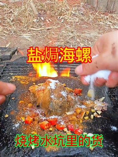 I picked up 4 seashells in a water pit and grilled them with salt on a stone slab. They were delicious and fragrant. After drawing water in a small water pit, I picked up 4 seashells and#Conch #RushtotheSea #Seafood #OutdoorCuisine #SaltBakedConch