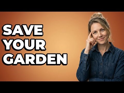 How Do I Spot Early Garden Bug Problems?