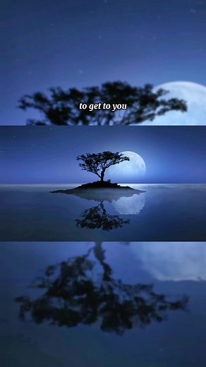 Faded Wolves - Alan Walker x Selena Gomez | Chill Music Video