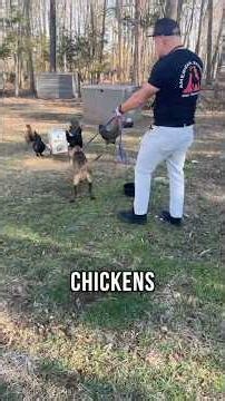 Why Treats Stop Working!