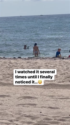 251K views · 579 reactions | Wow #reels | Splendid Reels | Facebook