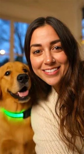 Bright Multicolor LED Dog Collar for Night Safety