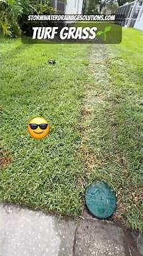 Installing Yard Drainage In Tampa Florida - Storm Water Drainage Solutions