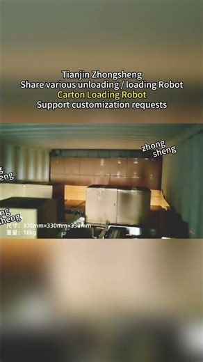 Carton Loading Robot