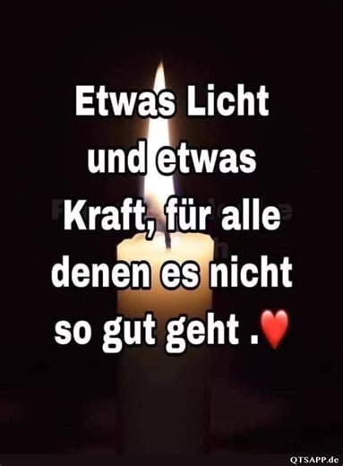 Elisabeth Goldenberg on Reels