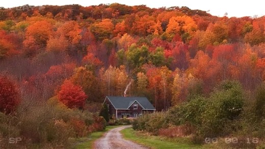 醉佳蒸汽波音乐！5小时纯享！这是1994年，秋天终于来到啦！ // 怀旧蒸汽波 ~ 平静氛围音乐 学习音乐！