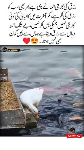 Rizk ki grunty 😍💯Inspirational video | Urdu quotes | Heart touching shorts video | Aqwal #shorts