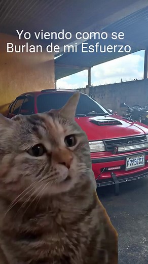 #CapCut #toyota #tercel #tercelturbo🔥🔥🔥🔥🔥🔥🔥 #mund #otiktok #enproceso #parati #triste #proyecto